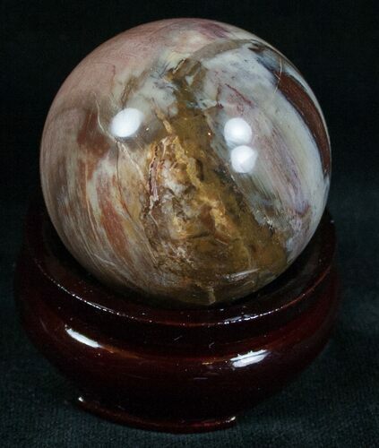Colorful Petrified Wood Sphere #6802